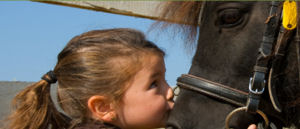 Brede Heide Kinderfeest