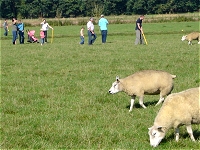 De Boerlevaer Op een slakkengangetje Reusel door