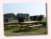 De Gevulde Knapzak Boerderij ijs en zuivel