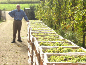 Domaine Les Damianes Rondleiding