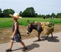 Ezelgasterij Aan de Maasheggen Ezelwandeling