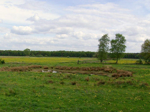 Fietsen en Eten in de Kempen Route in de Kempen