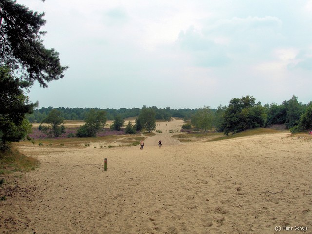 Fietsen en Eten in het Groene Woud Rondje Duinen