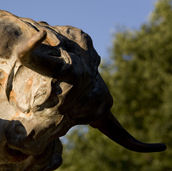 Interart Beeldentuin Rondleiding