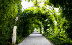 Interart Beeldentuin De Tuin