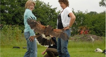 Landgoed De Hoevens Vogelvrij - Teambuilding met roofvogels