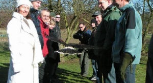 Landgoed De Hoevens Vogelvrij - Teambuilding met roofvogels