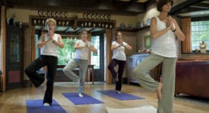 Landgoed De Hoevens Dru Yoga workshop