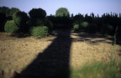 Landkunst in Het Groene Woud Fotografie Erwin van Amstel