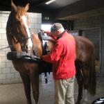 MenTeam van der Velden Paardenmen workshop