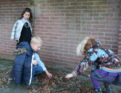 Recreatieteam Vlagheide De Moordzaak Schijndel