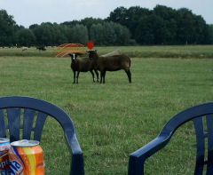 Schopshoeve Schapengolf