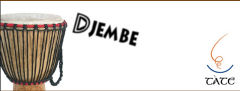 Tate Workshop Djembee
