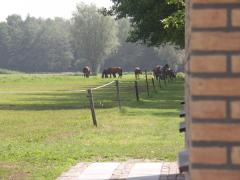 Aldorrum - Hoeve ter Asdonck HoeveLogementen