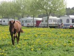 Onze sfeervolle minicamping ligt in een rustige omgeving in Zuidoost-Brabant en heeft uitzicht op het fraaie natuurgebied 'De Biezen'.