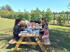 Alpacafarm Berksense Loop Lunch tussen de alpaca's