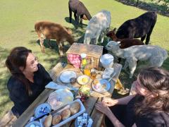 U boekt niet alleen een lunch, u krijgt er ook een onvergetelijk mooie beleving tussen de alpaca's bij! U boekt niet alleen een lunch, u krijgt er ook een onvergetelijk mooie beleving tussen de alpaca's bij!