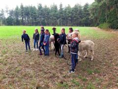 Alpacafarm Riethoven Kinderfeestje tussen de alpaca's