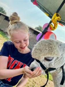 Alpacafarm Riethoven Kinderfeestje tussen de alpaca's