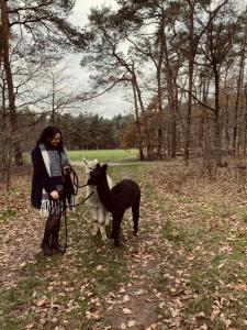 Alpacafarm Riethoven Alpaca wandeling