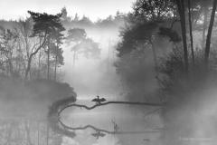 Een workshop fotografie door Bas van Laarhoven is een gezellige bijeenkomst vol leerzame en nuttige fotografietips in een kleine groep.