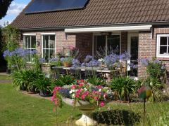 Bed and Breakfast Tussen Broek en Duin Bed and Breakfast Tussen Broek en Duin