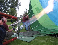 Bezoekerscentrum van Het Groene Woud Ballonvaren