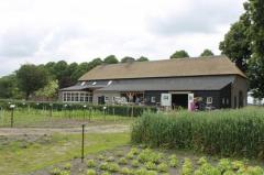 Bijzonder Brabants Rondleiding Peelrandbreuklandschap