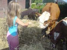 Biologische boerderij de Blije Big Kinderfeestjes, excursie en workshops