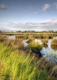 Blauwebessenland Rondleidingen