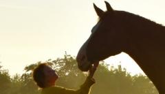 Paarden maken zichtbaar wat verborgen is.