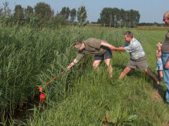 Boerderij 't Dommeltje Boerengolf