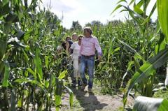 Daar staat u dan, in de wei tussen de koeien. Voor u ligt een veld van 3 hectare mais. Het veld zit vol met gangen