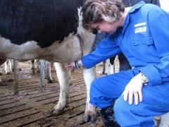 Altijd al een keer boer(in) willen zijn? Volg dan onze stoomcursus boer/boerin.