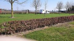 Boerderijcamping 't Rouweelse Veld Camping en camperplaats