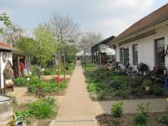 Boerderijmuseum Schimmert Museumbezoek