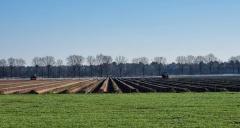 Boerderijwinkel met Binnen- en BuitenTerras Verse asperges