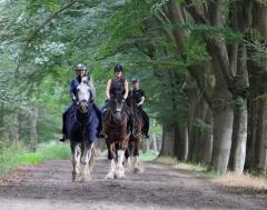 Buitenritreserveren Buitenrit Loonse en Drunense duinen.