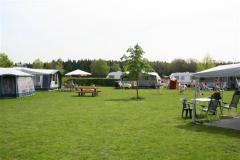 Camping Boszicht Mini-camping