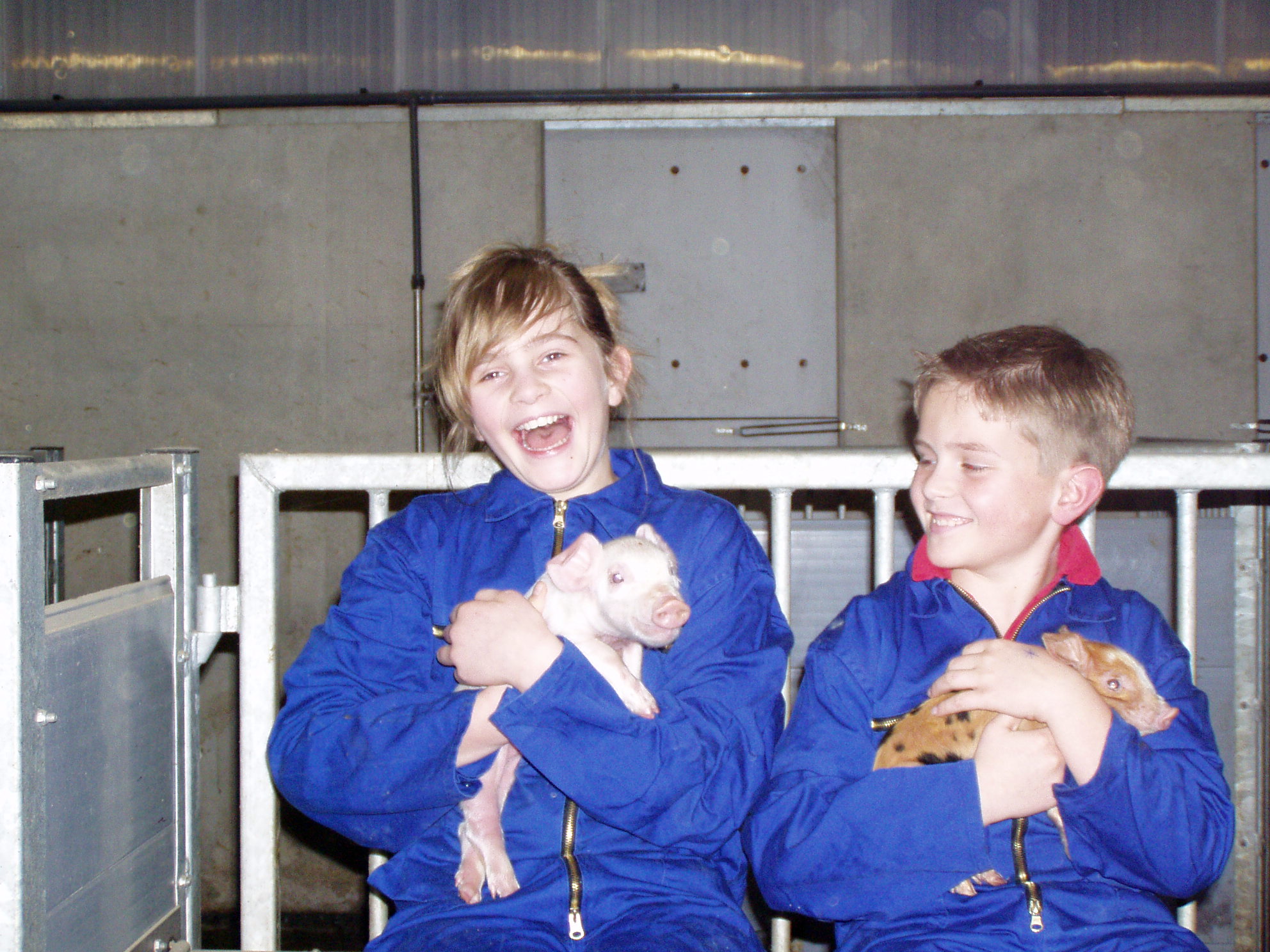 Het programma bestaat uit de vaste onderdelen: cadeautjes verstoppen, taartje maken, spelen, biggen knuffelen in overall en laarzen van de Beukentuin 