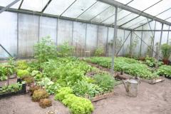 Bijzondere moestuinplantenmarkt bij de Boergondische Tuijn in St. Anthonis