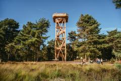 De Brasserie Ysselsteyn Wandeling TIJDREIS Limburgse Peel / Aan de Paardek