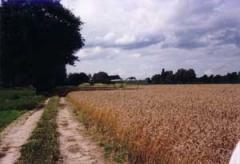 De Cinquant Boerderijcamping