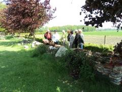 De Cultuurboerderij Rondleidingen-excursies