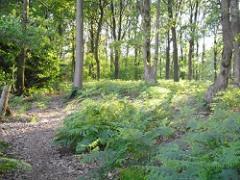 De Cultuurboerderij Rondleidingen-excursies