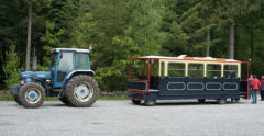 Een rit in onze nostalgische tram is een bijzondere manier om een tocht te maken door het schitterende Groene Woud.