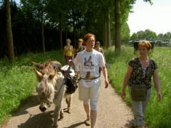 Samen wandelen en ontspannen in het Groene Woud, samen met een ezeltje!