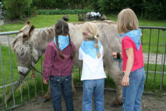 De Hagelaar Wandelen met de ezeltjes