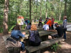 De Knapen Hoeve Boswandeling met gids /  De Knapen Hoeve