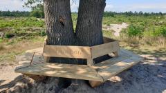 De Landschapsverteller GEHEIMEN van Schaaks Heide... & Ruige Stuifduinen